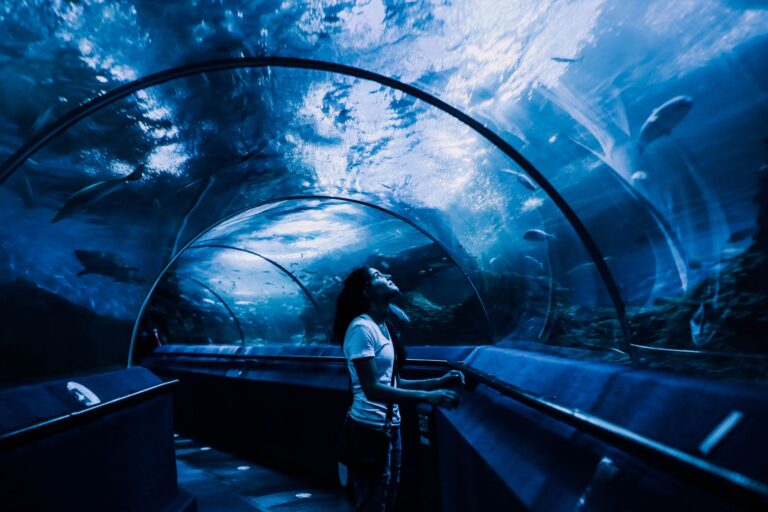Indoor-Aktivitäten in NRW: die besten Ziele bei jedem Wetter Indoor Aktivitäten NRW – Besucherin im Unterwassertunnel eines Aquariums