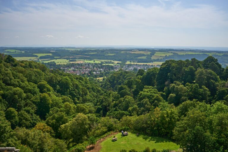 Wanderwege im Sauerland – Blick über bewaldete Höhenzüge und ein Tal im Rothaargebirge