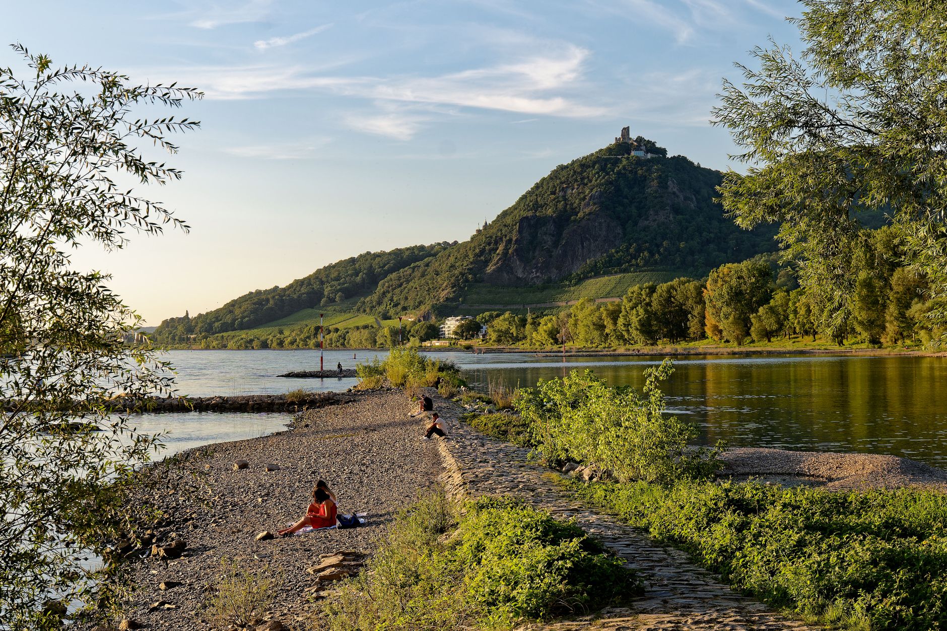 Ausflugsziele Köln – der Drachenfels mit Burgruine über dem Rhein bei Bad Honnef