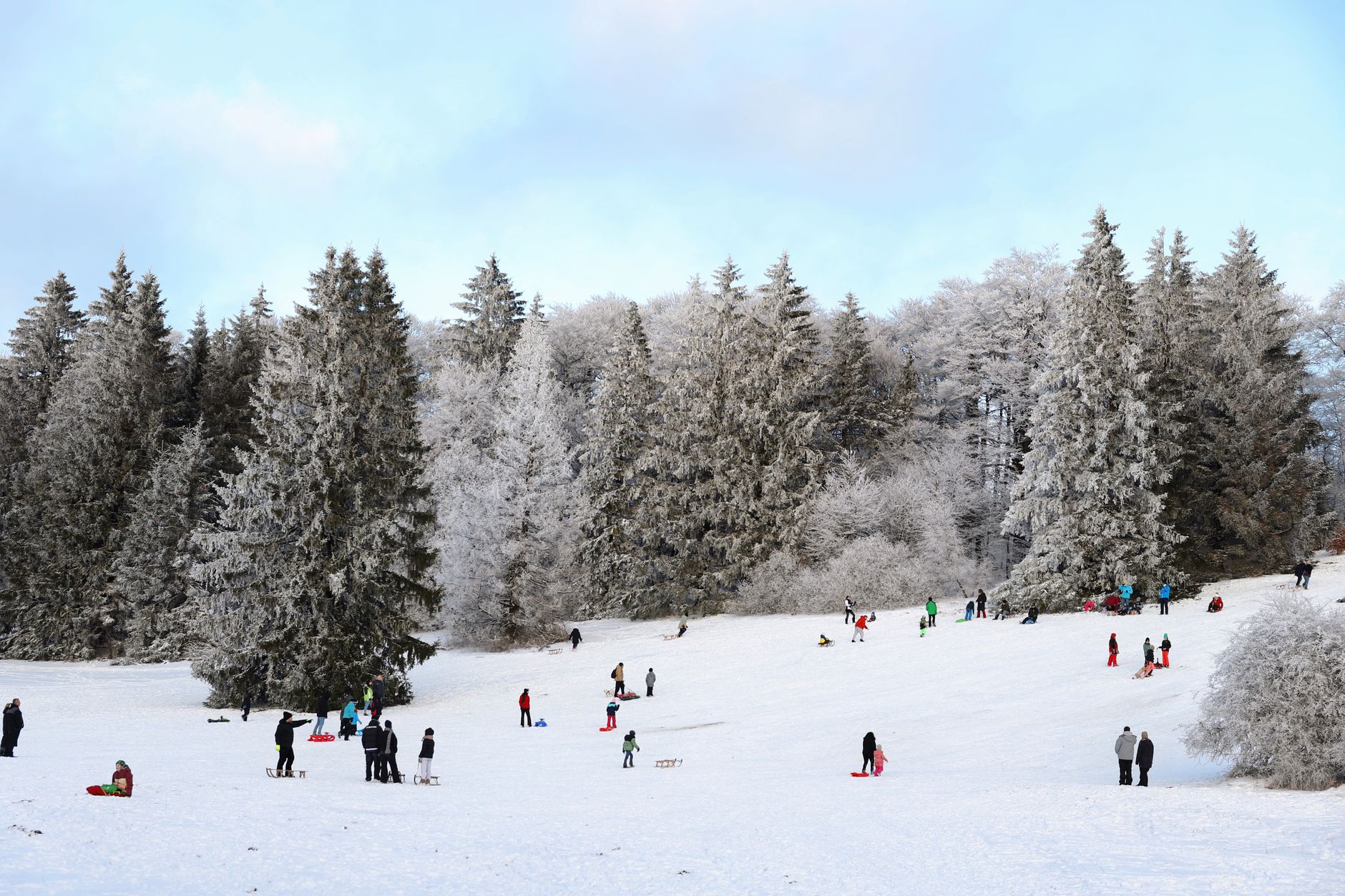 Skigebiet Winterberg – Familien beim Rodeln auf einem verschneiten Hang vor Fichten